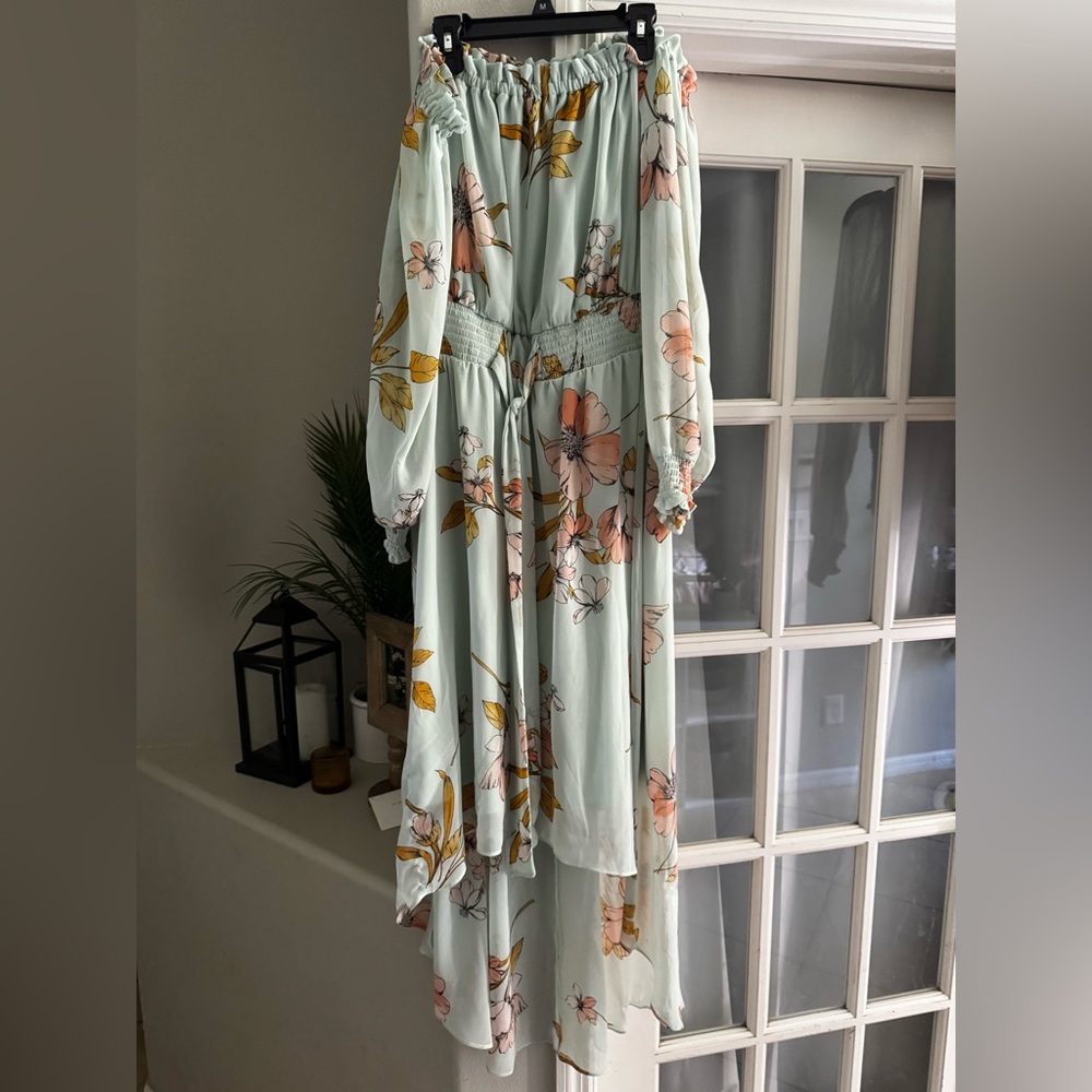 Luxology Soft Green and Floral Dress